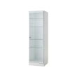 Ikea ASPVIK Glass-Door Cabinet