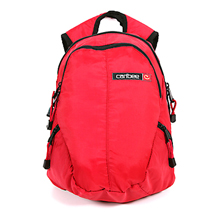Daypack (red)