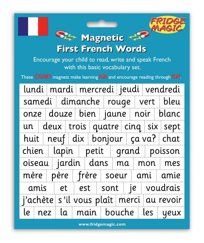 Indigo Worldwide Ltd Magnetic First French Words