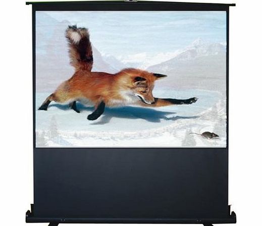 INLAND PRODUCTS INC 60`` portable floor screen 4:3. Air