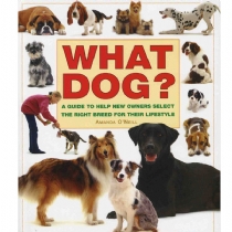 What Dog? (Paperback)