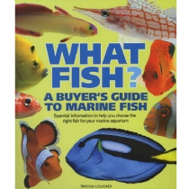 What Fish? Marine (Paperback)