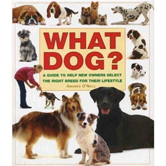 What Dog? (Book)