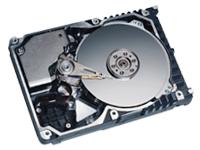 Maxtor Atlas 10K IV - Hard drive - 146.9 GB - standard - 3.5" - SCSI Ultra320 - 10000 rpm - 8