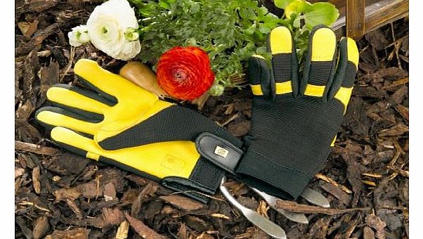 Jayco (UK) Ltd Gold Leaf Soft Touch Gloves - Ladies