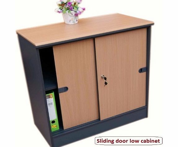 Office cupboard / Home storage cabinet with shelves amp; Door -BEECH- Ideal for Home office