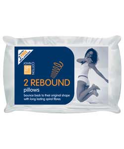 Pair of Rebound Pillows