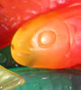 Fruity Jelly Fish