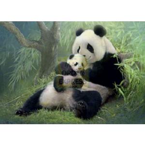 Jumbo Cuddling Pandas 500 Piece Jigsaw Puzzle