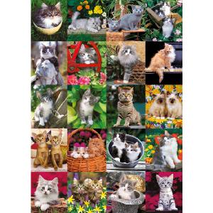 Jumbo Cuddly Cats 1000 Piece Jigsaw Puzzle
