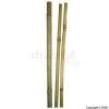 Bamboo Canes 4 Pack of 20