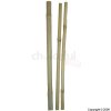 Bamboo Canes 8 Pack of 10
