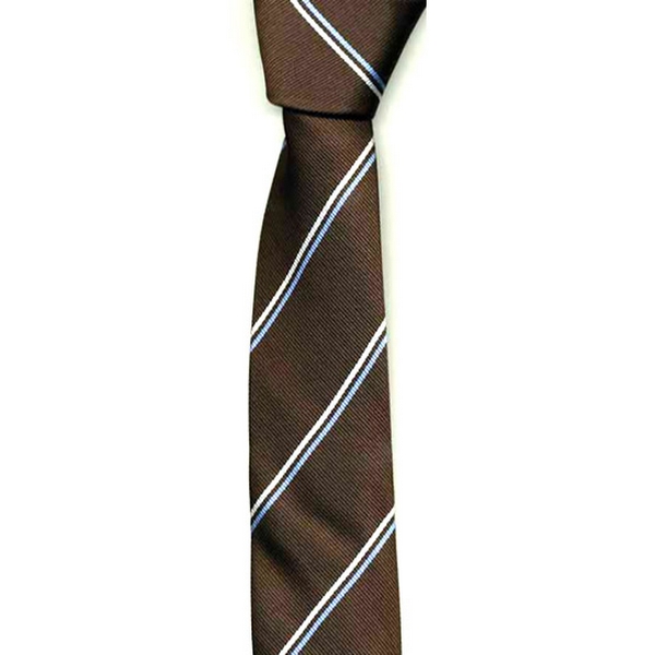 Brown/ Blue Stripe Skinny Tie by