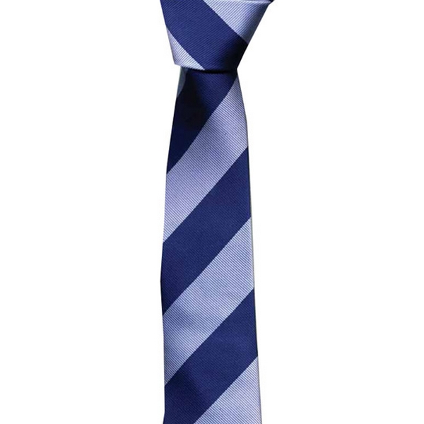 Navy / Blue Stripe Skinny Tie by