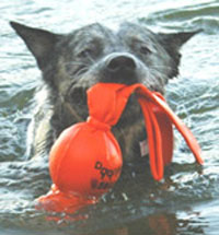 Water Wubba Dog Toy Large