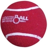 KOOKABURRA KOOKABALL CRICKET BALL (AK201)