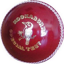 Special Test Cricket Ball