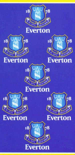 Everton FC Large Beach Towel (76cm x 152cm)