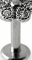Labret Piercing Jewellery Flower Micro Setting Crystal Stone Internally Threaded Top with 16Gauge(1.2MM) - 6MM(1/4``) Length Surgical Steel Labret Tragus Bars