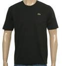 Black Short Sleeve Jersey Cotton T-Shirt