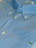 Mens Blue Striped Short Sleeve Cotton Shirt