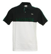 Sport Navy, White and Green Polo Shirt