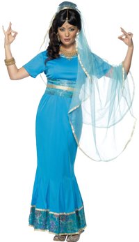 Ladies Costume: Bollywood Star (Small)