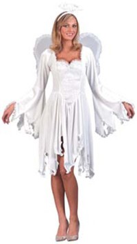 Ladies Costume: Velvet Angel (S/M)