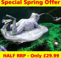 Laguna Lounging Frog Spitter Kit