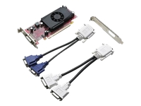 NVIDIA GeForce 310 - graphics adapter - GF 310