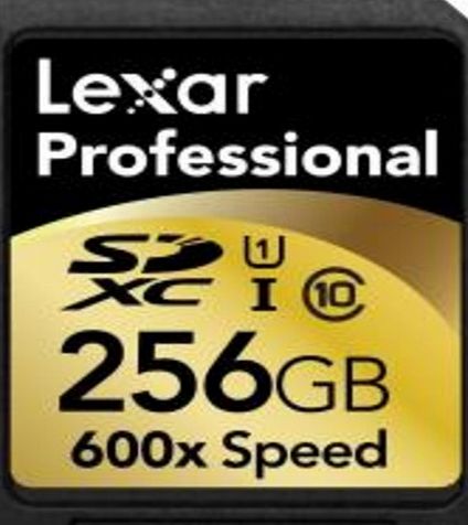 Lexar Memory Card - SDXC - 256GB - Class 10