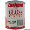 Brilliant White Gloss Finish Paint 750ml