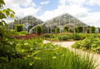 Lifestyle Entry to RHS Garden Wisley and Afternoon Tea for