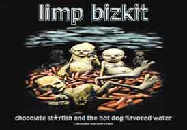 Limp Bizkit Album Textile Poster