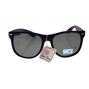 Black Matte Wayfarer Style Sunglasses