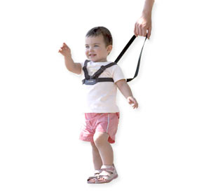 Safety Harness and Rein