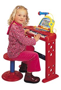 speak and play computer organ