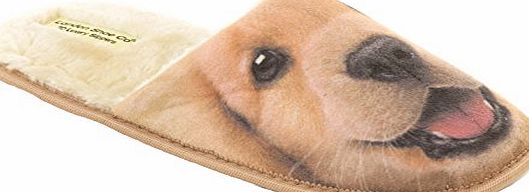 London Shoe Co Ladies amp; Girls Puppy Dogs amp; Kitten Cats 3D Slippers Size 3 to 8 UK - NOVELTY XMAS CHRISTMAS GIFT SLIPPERS (5 to 6 UK - MEDIUM Ladies, Golden Retriever Puppy)