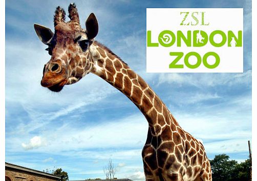 London Zoo Tickets