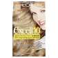 EXCELL 10 LIGHTEST BLONDE 10