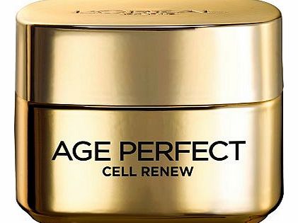 Loreal LOral Paris Age Perfect Cell Renew Day Cream