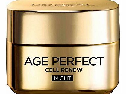 Loreal LOral Paris Age Perfect Cell Renew Night Cream