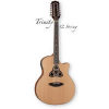 Trinity Series Dreadnought 12 String B-Stock