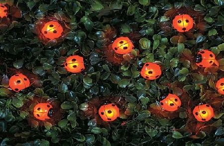 20 x Solar Ladybird Light String Fairy Garland Garden Decoration Border Feature Tree Bush Wall Patio Party Red LadyBug Novelty Insect Bug Led