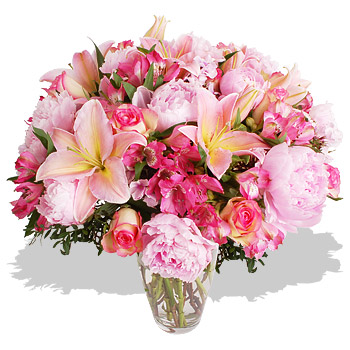Luxury Pink - flowers