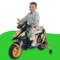 LXDirect duo boys scooter bike
