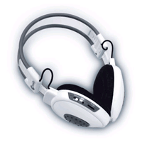Professional Noise Cancelling Head Set -