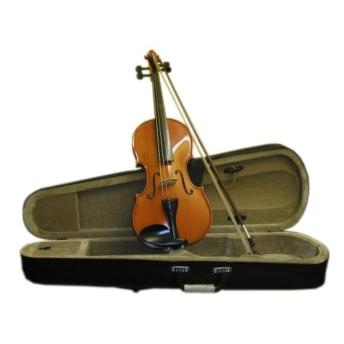 Maestro Music 1/2 Violin