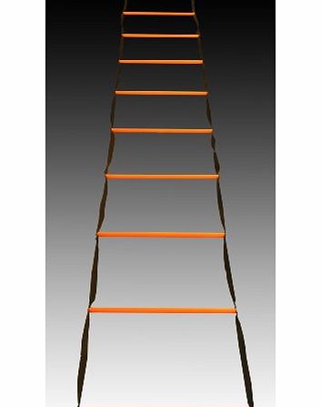 Magazine Rack Agility Ladder