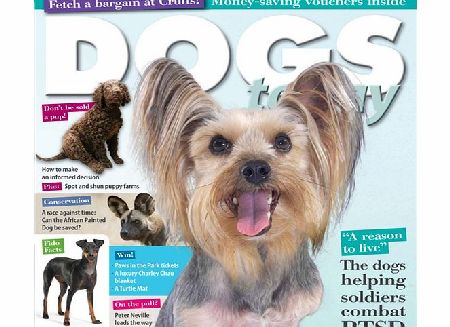 MagazineCloner.com Dogs Today Magazine